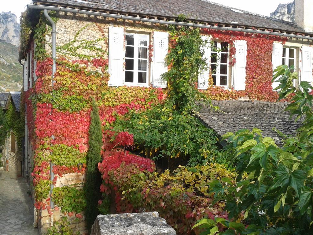 Ermitage De Peyreleau Bed & Breakfast ภายนอก รูปภาพ