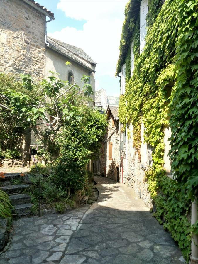 Ermitage De Peyreleau Bed & Breakfast ภายนอก รูปภาพ